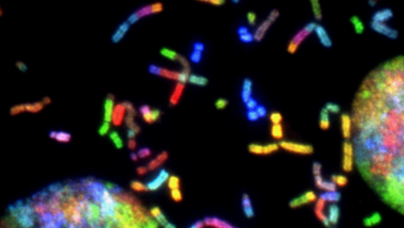mikroskopowy obraz mikroorganizmów