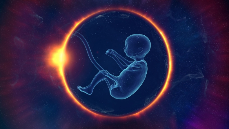 Abstrakcyjna grafika przedstawiająca płód, którego pępowina łączy się z promieniującym okręgiem jaki go otacza